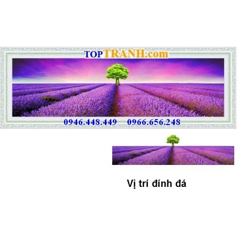 Tranh gắn đá hoa oải hương